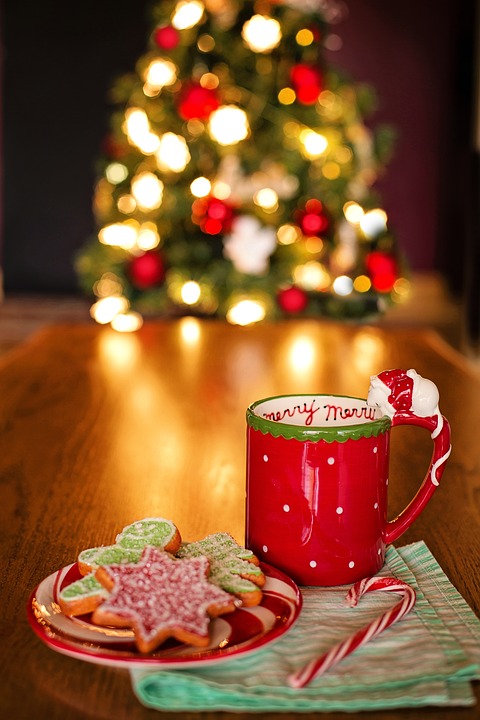 Tree Hot Chocolate Hot Cocoa Still Life Christmas